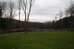 Residential Construction